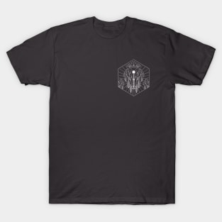 D&D Class Badge: Paladin T-Shirt